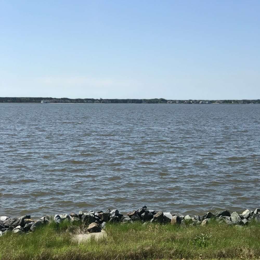 Meet your Posher, Jillian